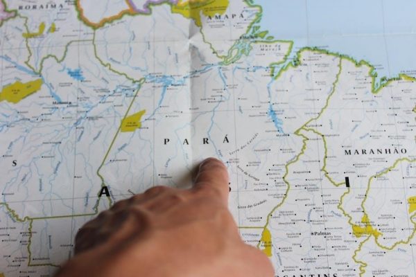 planting guide zone 8a