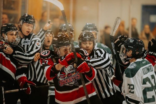 hockey referee signals pdf