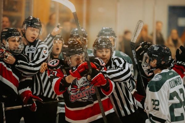 hockey referee signals pdf